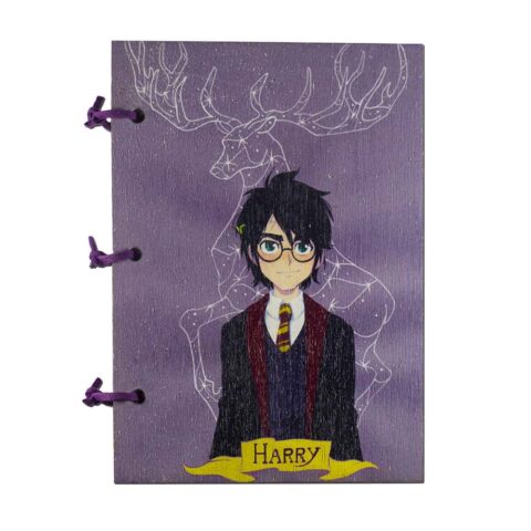 ჰარი პოტერი – ხის დღიური