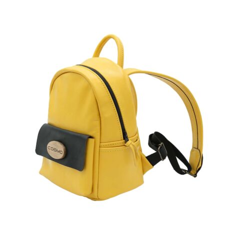 ზურგჩანთა