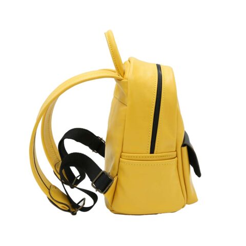 ზურგჩანთა