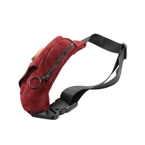 ექსპლო წელჩანთა